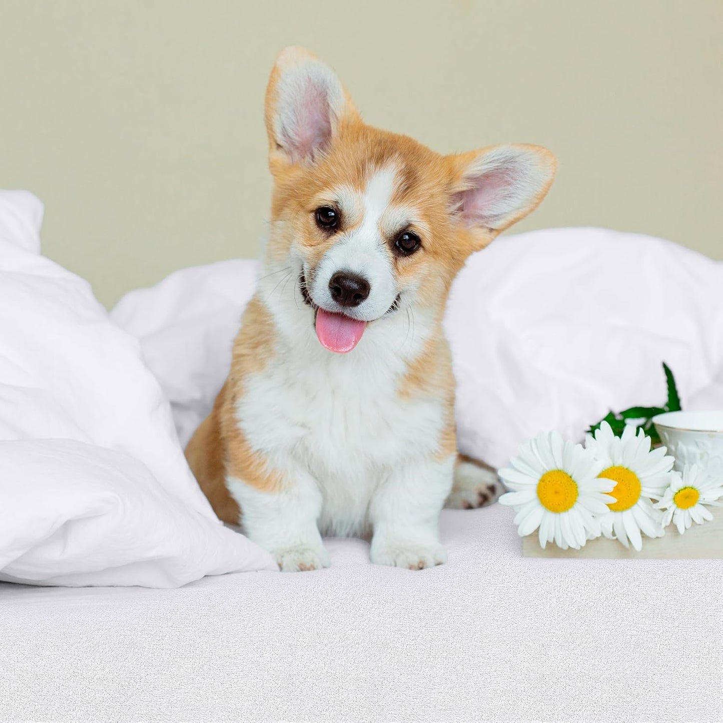 Coprimaterasso Matrimoniale Impermeabile , Proteggi Materasso, Traspirante, Lavabile, Stile Montato Tutto Intorno Elastico