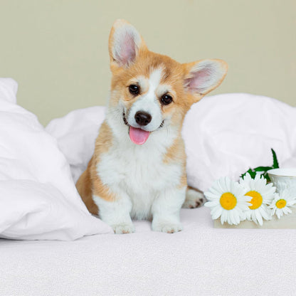 Coprimaterasso Matrimoniale Impermeabile , Proteggi Materasso, Traspirante, Lavabile, Stile Montato Tutto Intorno Elastico